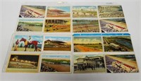 Lot of 28 Horse/Dog Wagering/Racing Postcards