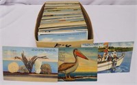 Lot of Approximately 400+ Linen Florida Postcards