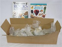 Box of Rocks/Minerals and Books