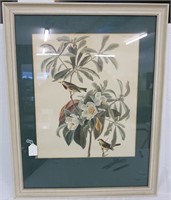 Framed Bird Plate Print
