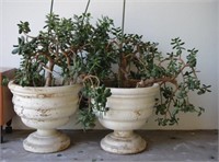 Pair of concrete garden pots