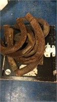 CARRYING CASE WITH HORSESHOES