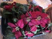 Holiday Flowers