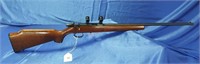 Remington Model 581 Bolt Action 22lr