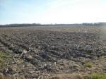 John H. Jordan Farmland  - Tract I