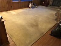 Large Living room area rug 12'W x 19.5' L