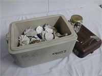 Small cooler filled with various sea shells and