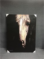 Horse Canvas Picture - 4'x3'