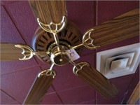 Ceiling Fans