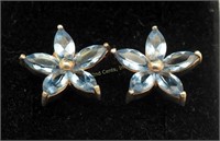 Vintage Sterling Silver Blue Gemstone Earrings