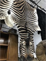 Zebra Hide with Felt Backing