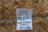 Straw-Lg.Squares-3x4 Wheat