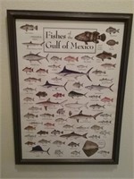 Fishes of the Gulf of Mexico