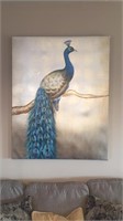 Peacock picture