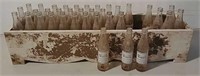 36 Weico Soda Bottles in a planter box