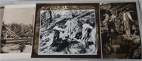 Ballarat Goldfields monochrome photo and prints