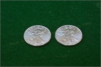 (2) 1996 Silver Eagles  key date