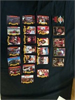24 NASCAR cards
