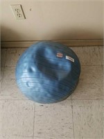 Power Systems 20 Inch Exercise Ball
