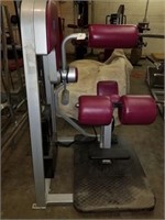 Nautilus Weighted Hyperextension Machine
