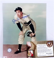 Joe DiMaggio Autographed Photo w COA