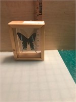 Shadow Box Butterfly
