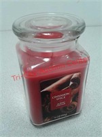 New 16 oz cinnamon spice candle