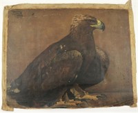 1902 "Eagle" Oil on Canvas