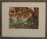 "Menton City under the Olive Trees"-Etching