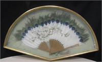 Framed Vintage Peacock Feather Fan 28.5" X 16"
