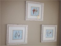 Lot #174 (3) Framed shell prints