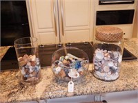 Lot #29 Sea shell collection in several glass