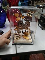 Butterflies inside display case