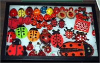 Premium Small Lady Bugs Collection Display Lot