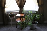 Plants, Plant Stand, Accent Table