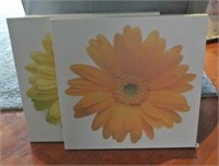 Gerbera Daisy Art Panels