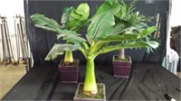3 small Artificial Plants - approx. 20 inches tall
