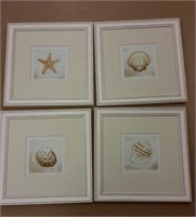 Set of Four Seashell Prints
