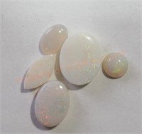 Genuine Opal (5) Gemstones