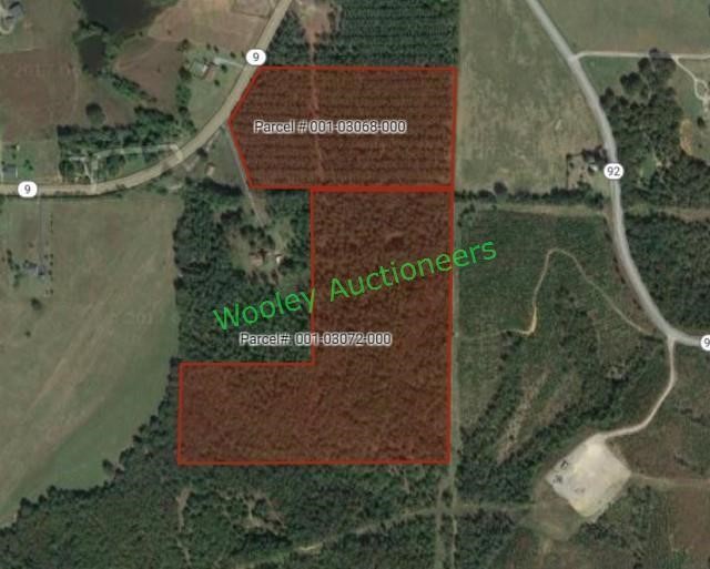 TIMBER & HUNTING LAND - CONWAY COUNTY LAND AUCTION