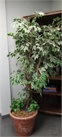 GORGEOUS POTTED FAUX FICUS TREE