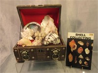 Jewelry Chest w/Sea Shells & Book