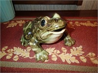 Brush McCoy frog