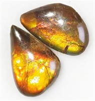 Ammolite Genuine Canadian Stone