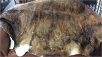 COW HIDE WITH BRAND, 81" X 62"