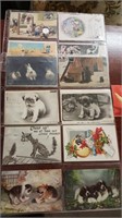Postcards - Animals & Humor  17 cards