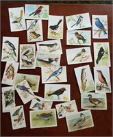 Arm & Hammer Bird cards   25 cards