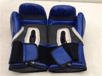 Everlast 16 oz Boxing Gloves