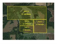 TRACT 4- 120 A.+/-  Pond / wooded / recreational