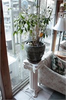 Potted Plant & Pedestal